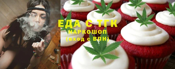стаф Горняк