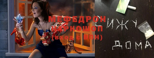 стаф Горняк