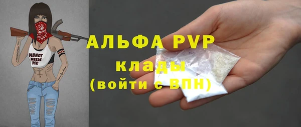 стаф Горняк