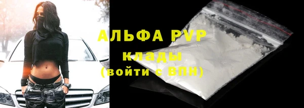 стаф Горняк