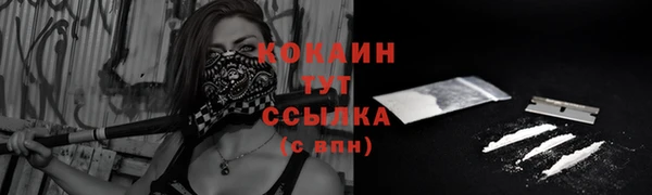 стаф Горняк