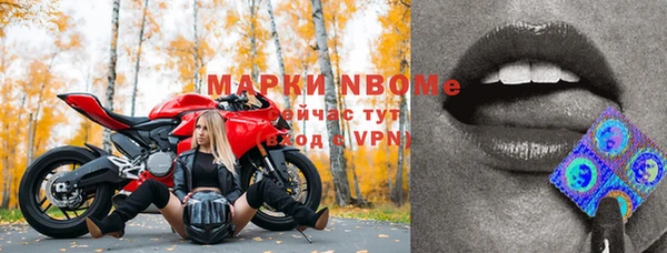 apvp Горнозаводск