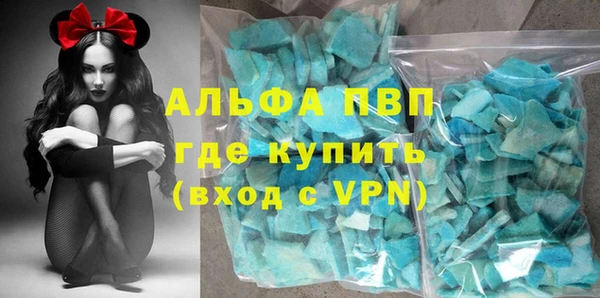 стаф Горняк