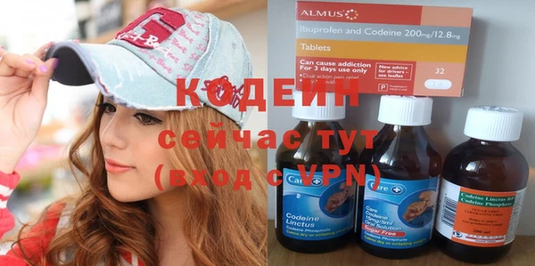 apvp Горнозаводск